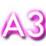A3